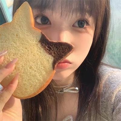 探险活宝第二季